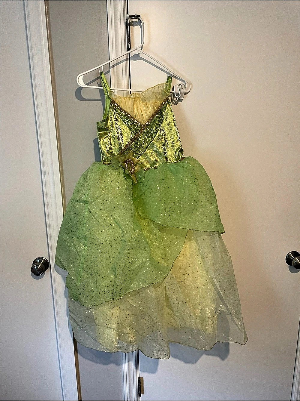 Disney Tiana Costume for Kids – Size 9/10